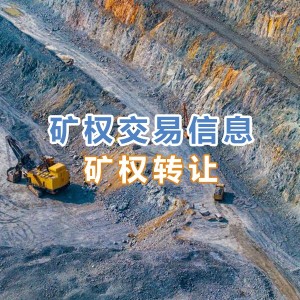 云南某金矿详查探矿权转让